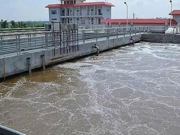 �۱�ϩ�����͑��F��