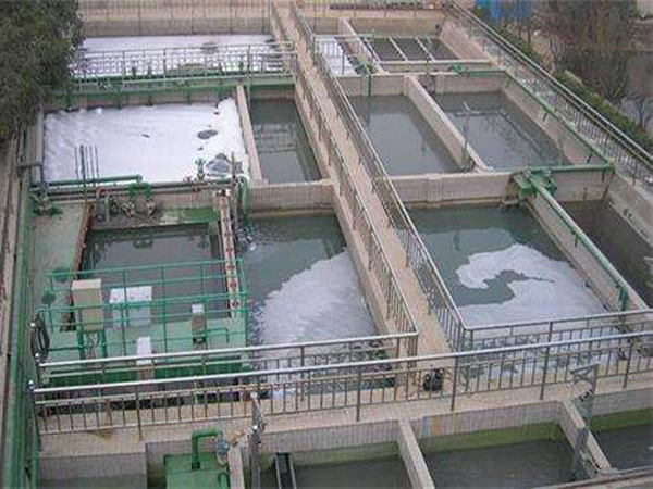 �ۺ������F�͑��F��